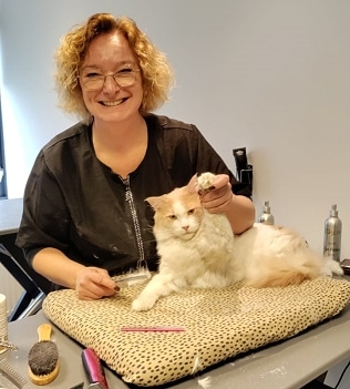Kat trimmen bij Trimsalon Mrs Groomer